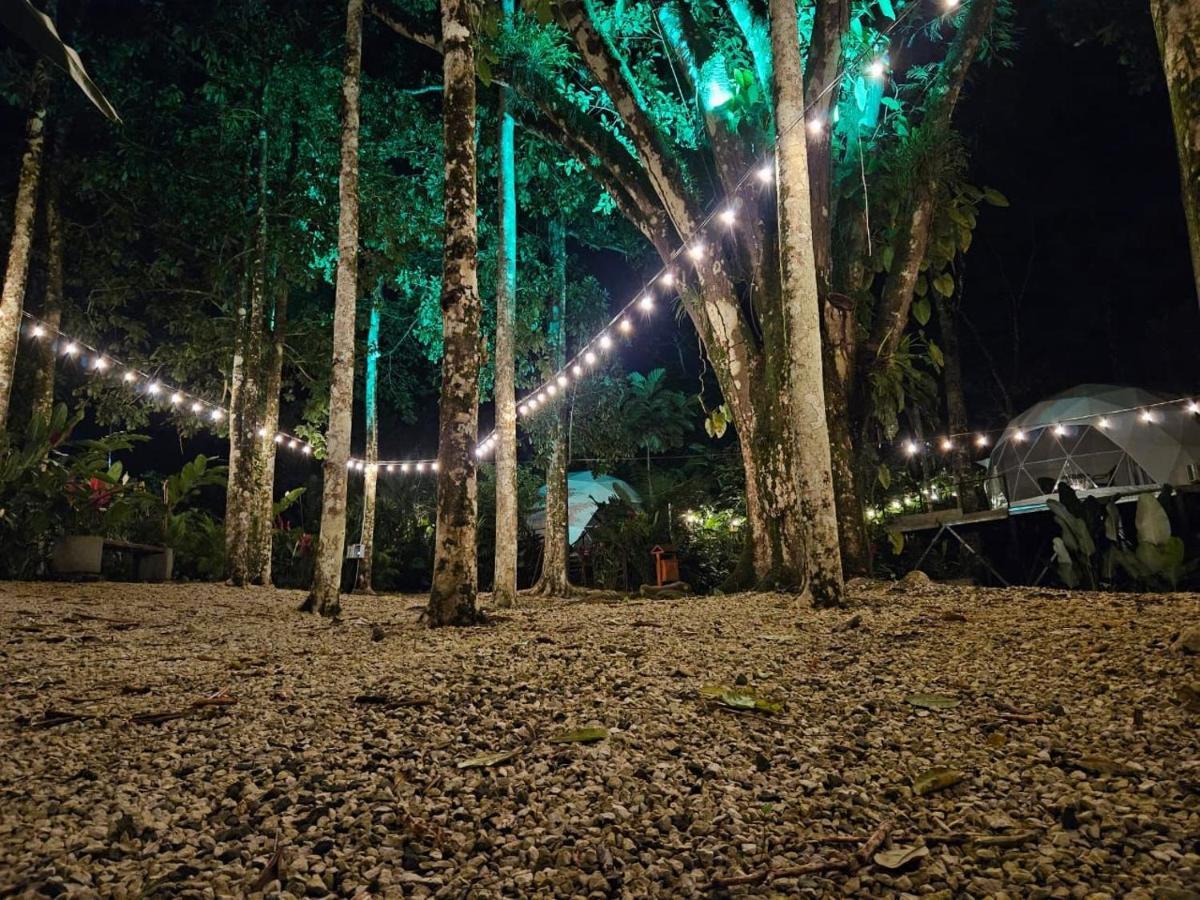 Palo Alto Glamping Hotel Quesada  Dış mekan fotoğraf