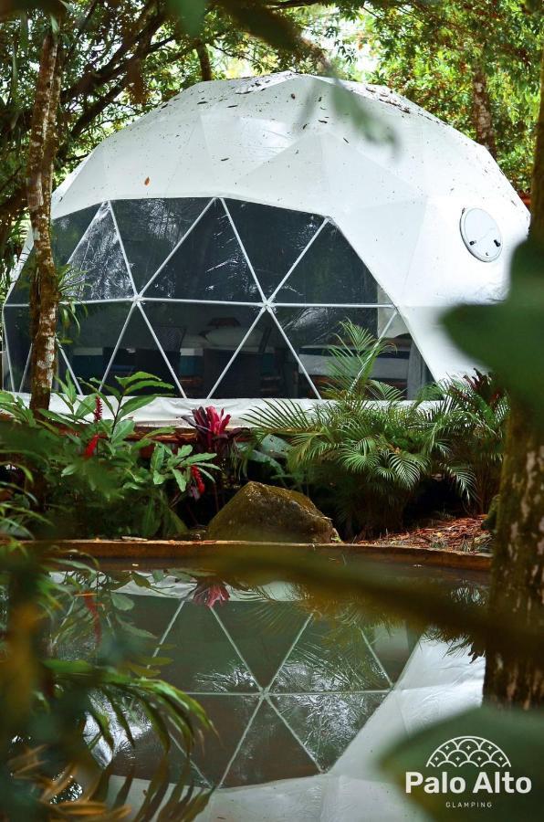 Palo Alto Glamping Hotel Quesada  Dış mekan fotoğraf