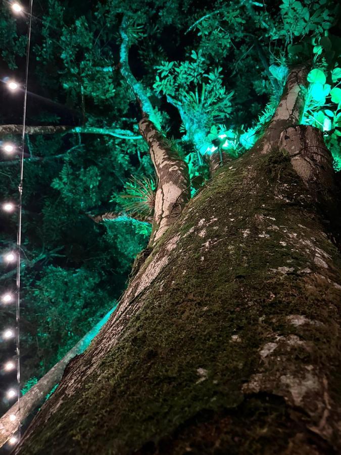 Palo Alto Glamping Hotel Quesada  Dış mekan fotoğraf