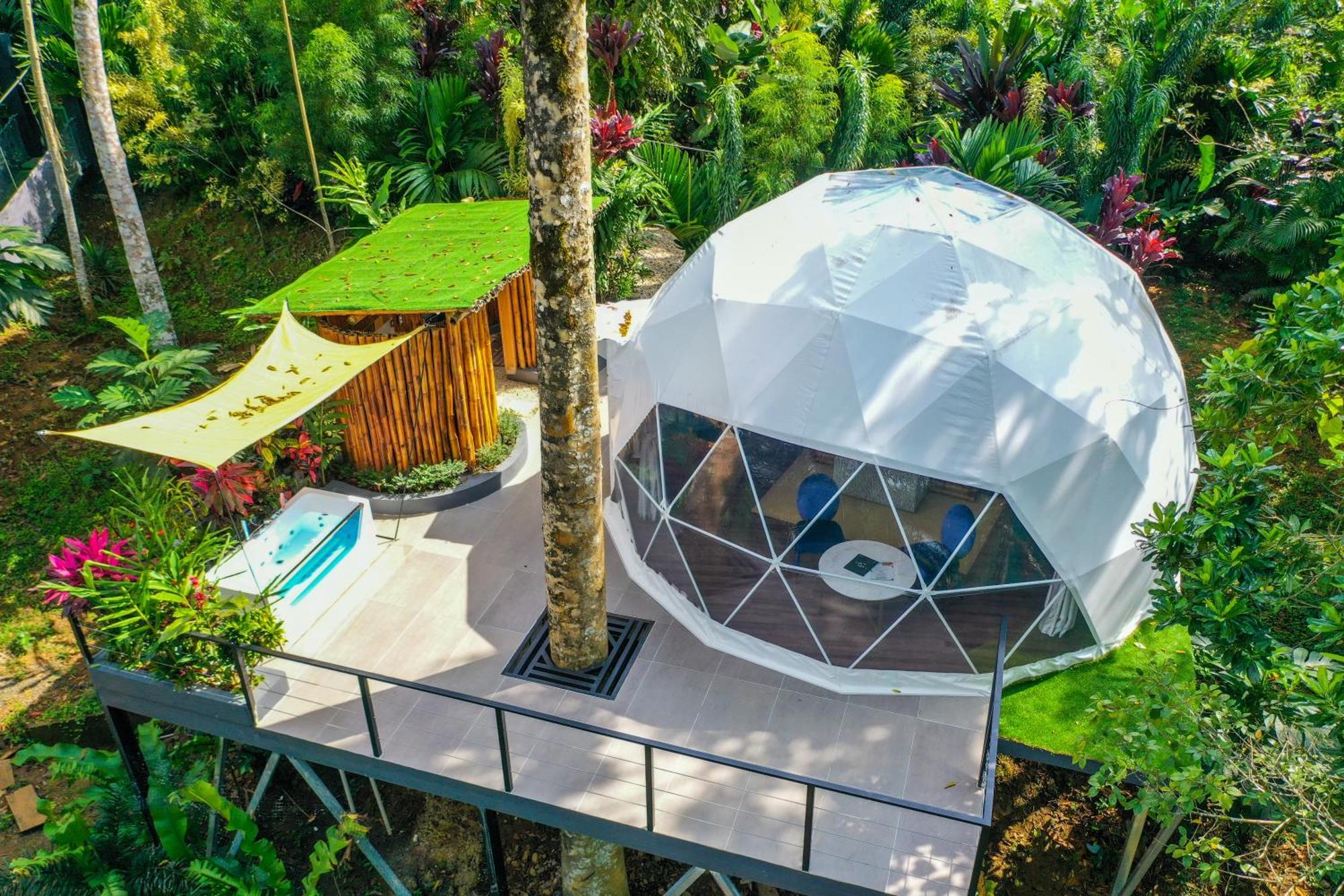 Palo Alto Glamping Hotel Quesada  Dış mekan fotoğraf