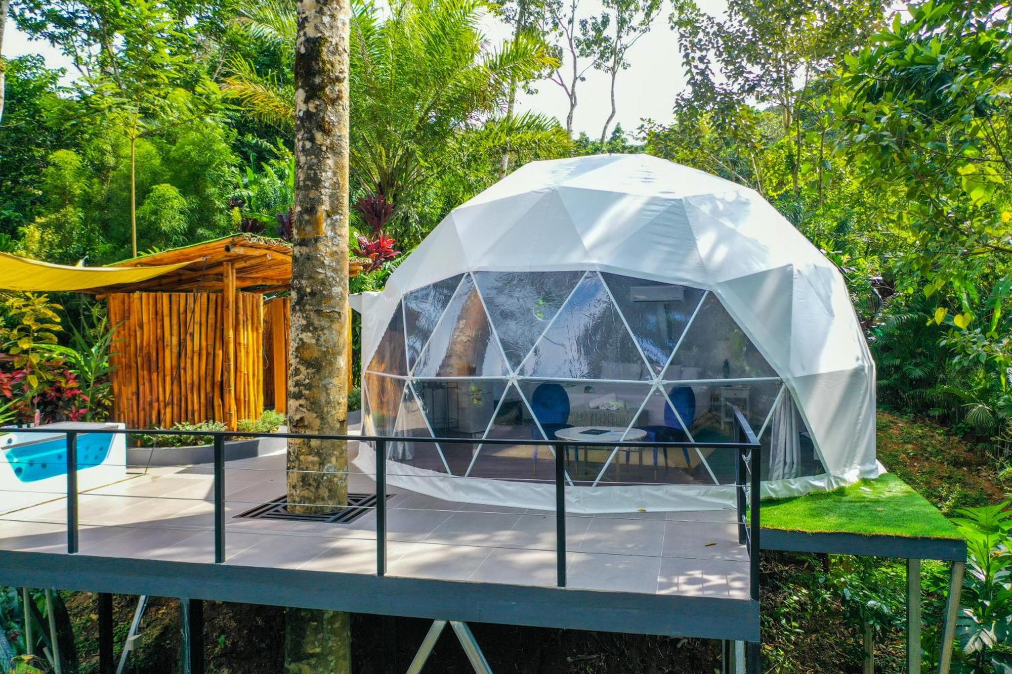 Palo Alto Glamping Hotel Quesada  Dış mekan fotoğraf