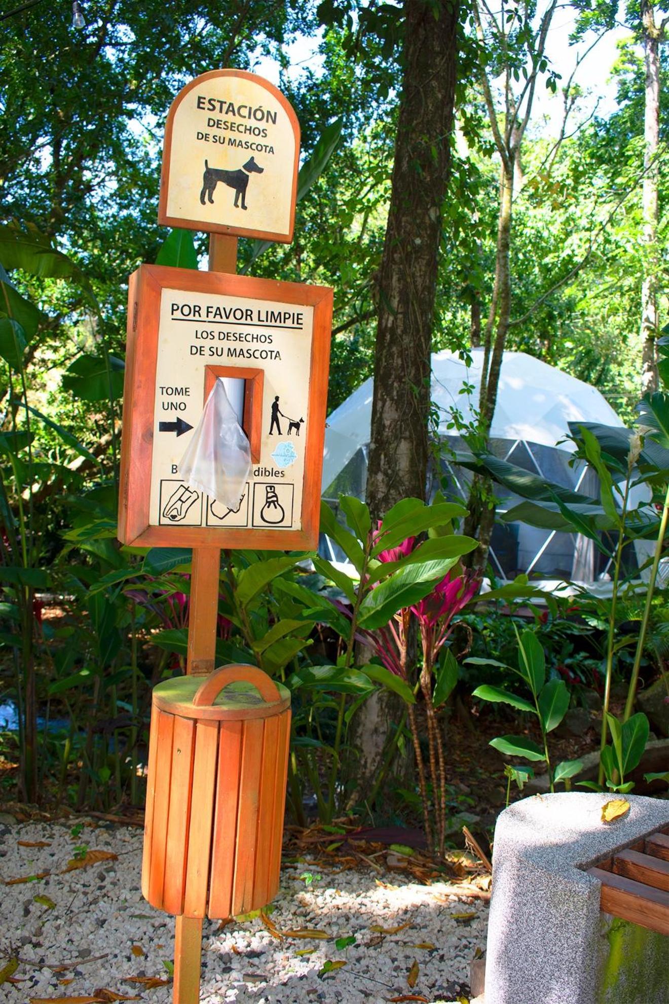 Palo Alto Glamping Hotel Quesada  Dış mekan fotoğraf